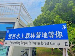 -上海海湾国家森林公园