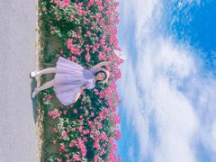 -上海滨江森林公园