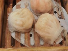 穗城笋尖虾饺皇-广州酒家(昌岗地铁站店)