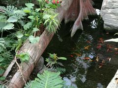 -北京植物园-展览温室