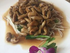 鼓油皇炒鹅肠-黄埔华苑酒家(黄埔总店)