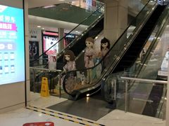 -凯德MALL(望京店)
