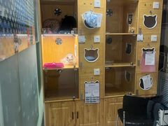 -天时宠物医院24小时疑难病例会诊中心(顾乡大街总院)