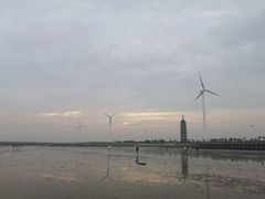 -碧海金沙