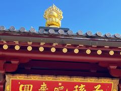 -庐山风景名胜区-东林大佛