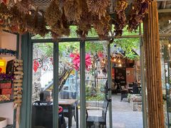 -喵屿·大理花园猫咖