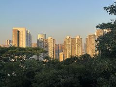 -白石龙音乐公园