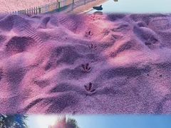 -苏州太湖西山岛开心农场