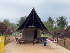 -TIPPI营地 房车主题·露营烧烤团建轰趴(天安假日店)