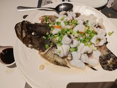 -新兴·金羊座·粤菜点心(乐峰店)