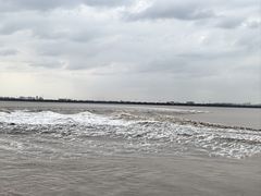 -观潮胜地公园