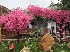 -麦园农庄·西江河鲜