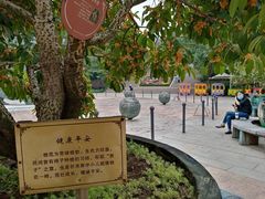 -杭州少年儿童公园