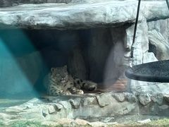 -青藏高原野生动物园