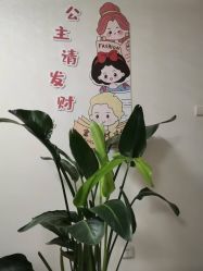-寇氏减肥