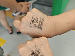 -圣淘沙天际线斜坡滑车