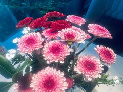 -食悦江南·淮扬菜·烤鸭(亚运村·惠新店)