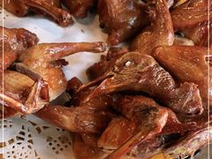 -百利鸽王(紫薇路店)