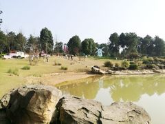 -铁山坪森林公园