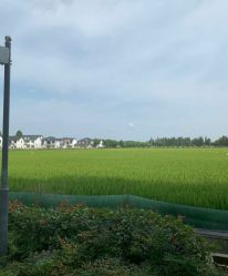 -麦粒鸟亲子游