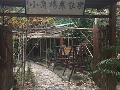 -张鸟园农家乐(张鸟园店)
