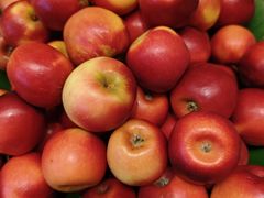 -湖州东吴开元名都酒店-滨河自助餐厅