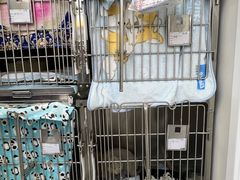 -达爱动物医院·犬猫分区·CT·复杂眼科(远洋山水分院)