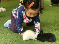 -萌宠亲子动物乐园(槐房万达店)