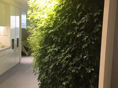 -花旗集团大厦
