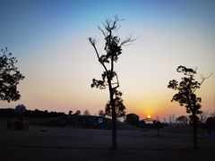 -武汉紫薇都市田园