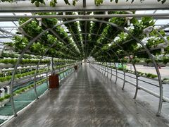 -兴芮温泉度假区