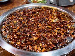 耗儿鱼拼牛蛙锅-耗儿鱼蛙蛙叫·老成都火锅(蛇口海昌街店)