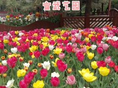 -宣武艺园