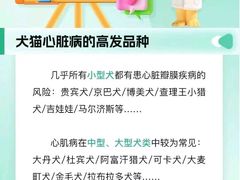 -瑞派天使宠物医院·神经外科·骨科·核磁(洛川中路店)