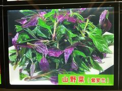 -自游人·美食一楼·地道徽菜(三十年名店)