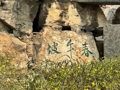 -莲池书院博物馆