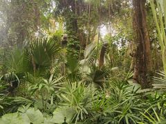 -海南热带野生动植物园