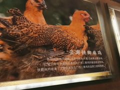 -云海肴·汽锅鸡·云南代表菜(天津国金汇店)
