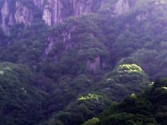 android_upload_pic-陕西省红河谷森林公园