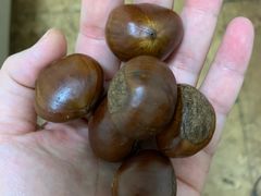 -秋栗香(地安门店)