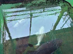 -蓝湾碧波·老字号·疍家非遗海上餐厅