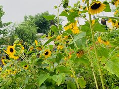 -酷鱼垂钓CLUB(朝阳区博大路店 )