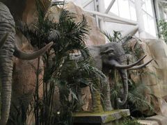 -杭州开元森泊度假乐园