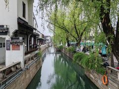 -沈记青团