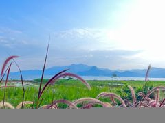 -抚仙湖禄充风景区