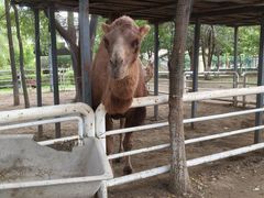 -长白岛森林公园