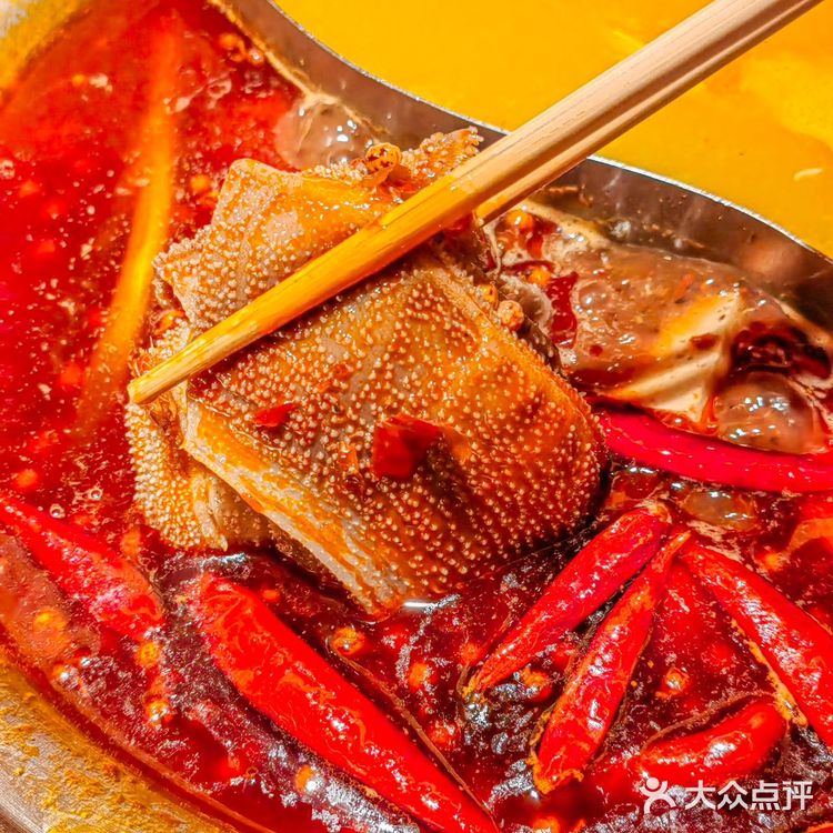 西安火锅党冲！跨半城挤爆熙地港，这熊猫店值哭