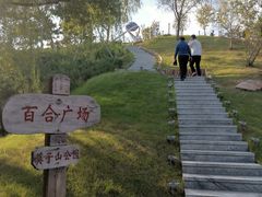 -莫子山公园