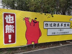 -祥源·阜阳生态乐园