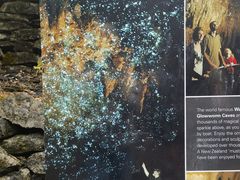 -怀托摩萤火虫洞